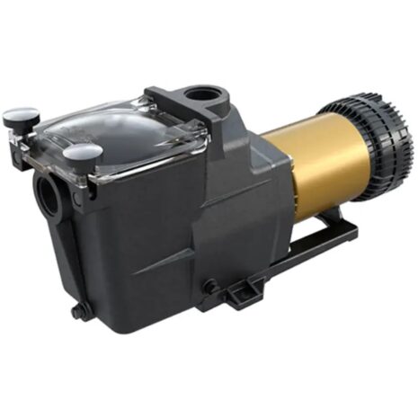 SUPER PUMP XE 1.65HP (1)