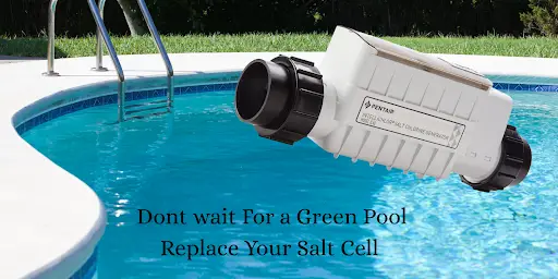 Salt Cell Replacement